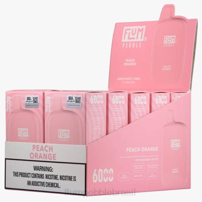 FLUM PEBBLES 6000 baforadas 10 pacotes laranja pêssego 828A63 | FLUM PEBBLE VAPE BRASIL